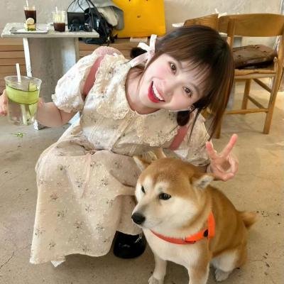 新青春梦里人